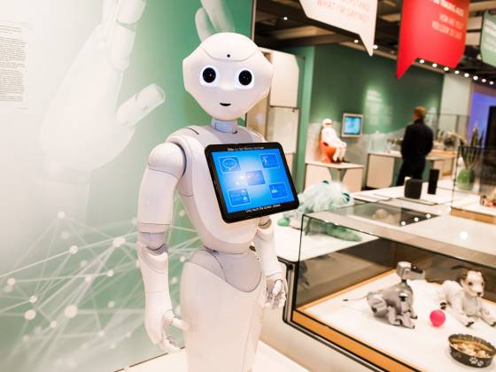 Roboter Pepper